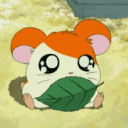 hansungjinsung#4056's avatar