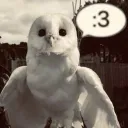 vv3nadryl