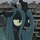 korobkabandit261