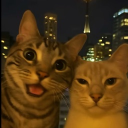 avatar 𝑱𝒐𝒂𝒏𝒂 <𝟑