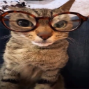 avatar 𝑱𝒐𝒂𝒏𝒂 <𝟑