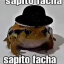 franxo24