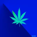 crashoverride420