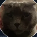 fowr0