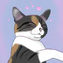 catsover