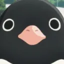 majixed