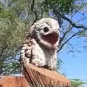 happy__cookie