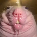 babyomogos_