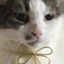 armangamer