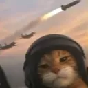 docroi.