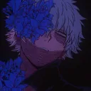 _pr4x
