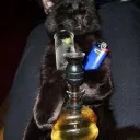 trx_wrlld