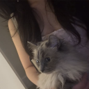 avatar cx