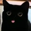 .xobu