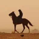 oyazan1