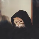 gabryel_dn