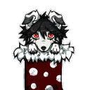 avatar ☾✟𝖓𝖔𝖗𝖆✟☽