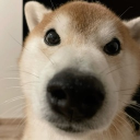 avatar 𝐵𝒶𝓂𝒷𝒾 🤎