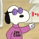 jay_rl