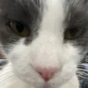tastedocean1