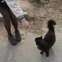 avatar кукольница