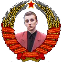 bebroid_sin_putina