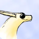 kaidacritter