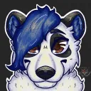 blickpanda