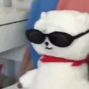 fanatixq
