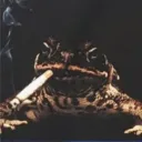 biggersean