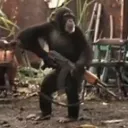 raabino