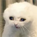 dang3rouspi3