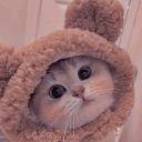 avatar 𝓐𝓯𝓲𝓷𝓼𝓴𝓪𝔂𝓪 ❤