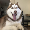 avatar Lạp xưởng nướng đá