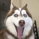 avatar Lạp xưởng nướng đá