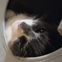 avatar Synth_Astro (Aka SynthSoda)