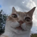 queer_fuq