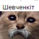 Sytychko profile