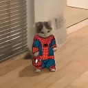 vigyy