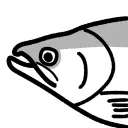 salmon_p