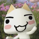 aarekx avatar