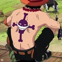 .erioon1