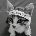 thechillmuslimofficial