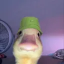 gaming_player188