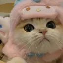 supersumogaming