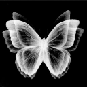 avatar b.