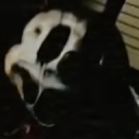 avatar λUBR33