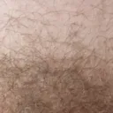 _klys_