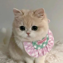 avatar 𝐌𝐞𝐥𝐢🕷