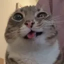 no_re